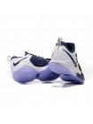 Мужские кроссовки Nike Zoom PG 1 (бело-синий)