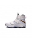 Мужские кроссовки Nike Lebron Soldier 10 (белый)