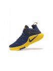 Мужские кроссовки Nike Lebron Witness (синий)