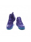 Мужские кроссовки Nike Lebron Ambassador 9 (сиреневый)