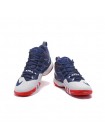 Мужские кроссовки Nike Lebron Ambassador 9  (сине-белый)